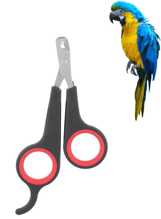 Bird Nail Clipper Grooming Tool Nail Scissors Clipper Pet Bird Parrot Small Animals Accessory for Small Parrot Birds - Image 1