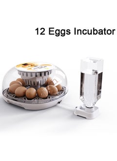 Generic Egg Incubator for Hatching with Automatic Egg Turning Led Egg Test Lamp Clear Lid Easy to Wash 12 Eggs Poultry Hatcher Farm Bird Quail Chicken Poultry Farm Hatcher Turner Incubation Tools  - Image 3