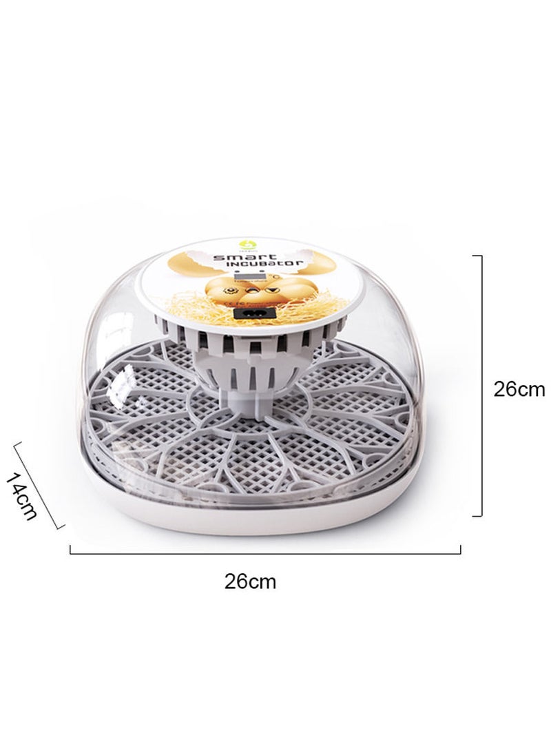 Generic - Egg Incubator for Hatching with Automatic Egg Turning Led Egg Test Lamp Clear Lid Easy to Wash 12 Eggs Poultry Hatcher Farm Bird Quail Chicken Poultry Farm Hatcher Turner Incubation Tools - Image 1