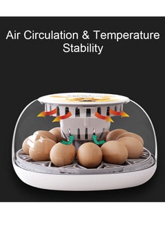 Generic Egg Incubator for Hatching with Automatic Egg Turning Led Egg Test Lamp Clear Lid Easy to Wash 12 Eggs Poultry Hatcher Farm Bird Quail Chicken Poultry Farm Hatcher Turner Incubation Tools  - Image 4
