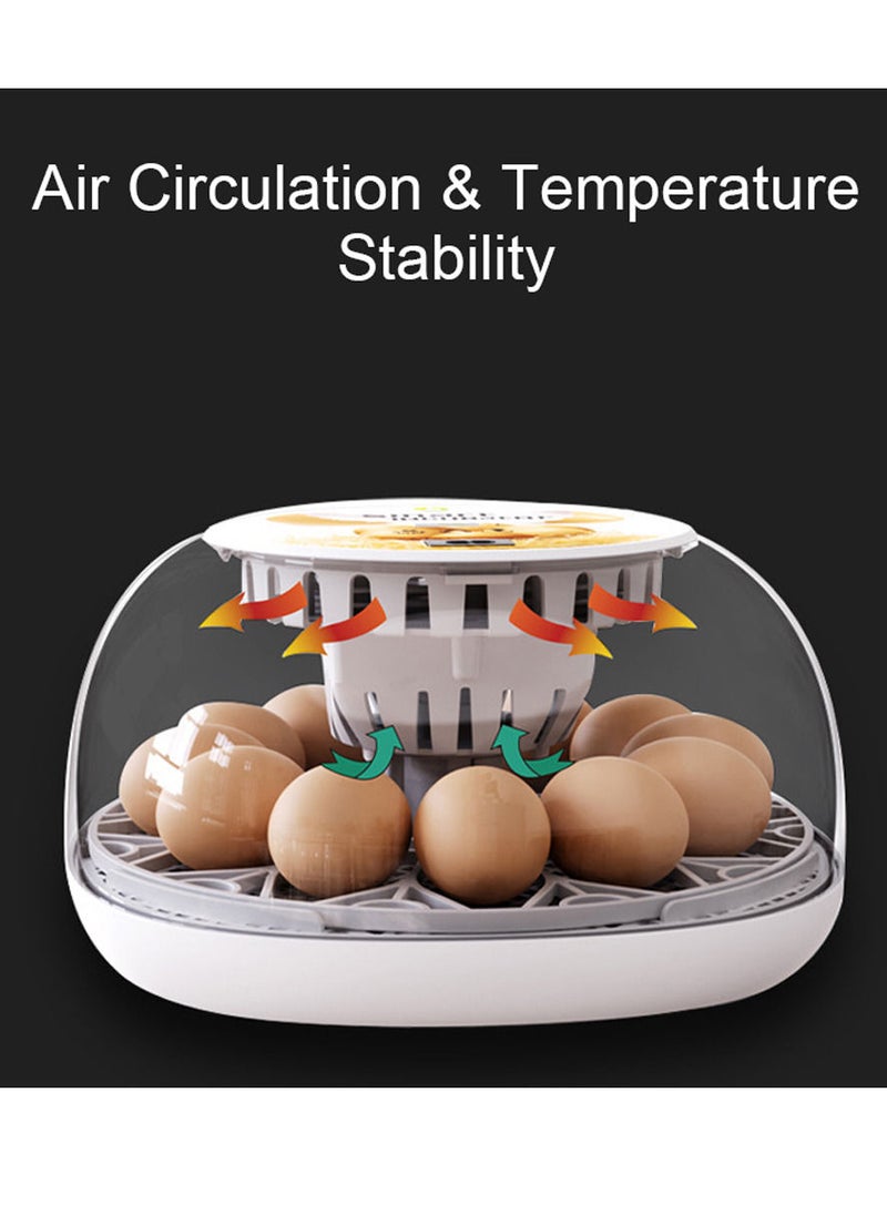 Generic - Egg Incubator for Hatching with Automatic Egg Turning Led Egg Test Lamp Clear Lid Easy to Wash 12 Eggs Poultry Hatcher Farm Bird Quail Chicken Poultry Farm Hatcher Turner Incubation Tools - Image 1