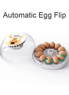 Generic Egg Incubator for Hatching with Automatic Egg Turning Led Egg Test Lamp Clear Lid Easy to Wash 12 Eggs Poultry Hatcher Farm Bird Quail Chicken Poultry Farm Hatcher Turner Incubation Tools  - Image 2