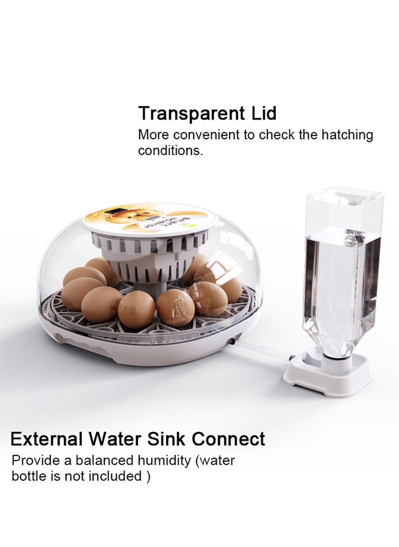 Generic - Egg Incubator for Hatching with Automatic Egg Turning Led Egg Test Lamp Clear Lid Easy to Wash 12 Eggs Poultry Hatcher Farm Bird Quail Chicken Poultry Farm Hatcher Turner Incubation Tools - Image 1