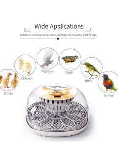 Generic Egg Incubator for Hatching with Automatic Egg Turning Led Egg Test Lamp Clear Lid Easy to Wash 12 Eggs Poultry Hatcher Farm Bird Quail Chicken Poultry Farm Hatcher Turner Incubation Tools  - Image 5