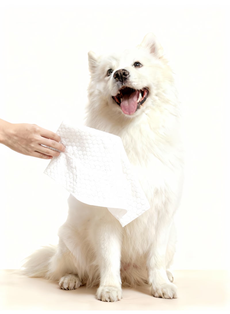 مناديل مبللة للقطط، 160 قطعة مناديل مبللة للتنظيف متعدد الأغراض للحيوانات الأليفة، مناديل مبللة للأذن للكلاب، تمشيط سريع وسهل للأرداف والجسم والكفوف، والعينين، وسهولة الانتعاش السريع، عبوة 2 عبوة سفر مجموع 160 منديل - Image 5