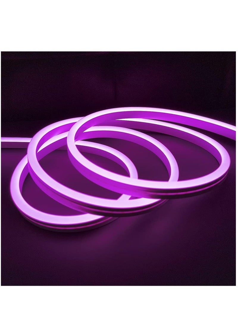 Vitacelli شريط إضاءة نيون LED 12 فولت، 16.4 قدم / 5 مصابيح LED، شريط نيون مرن 12 فولت للمطبخ وغرفة النوم والديكور الداخلي والخارجي للمنزل DIY متضمن محول باللون الأرجواني  - Image 1