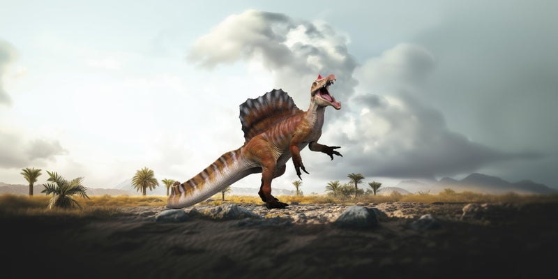 RECUR 18" Spinosarus Prehistoric Dinosaur Models - Realistic Dino Figurine Dino Play Toy for Display with Movable Jaw Deluxe - Image 2