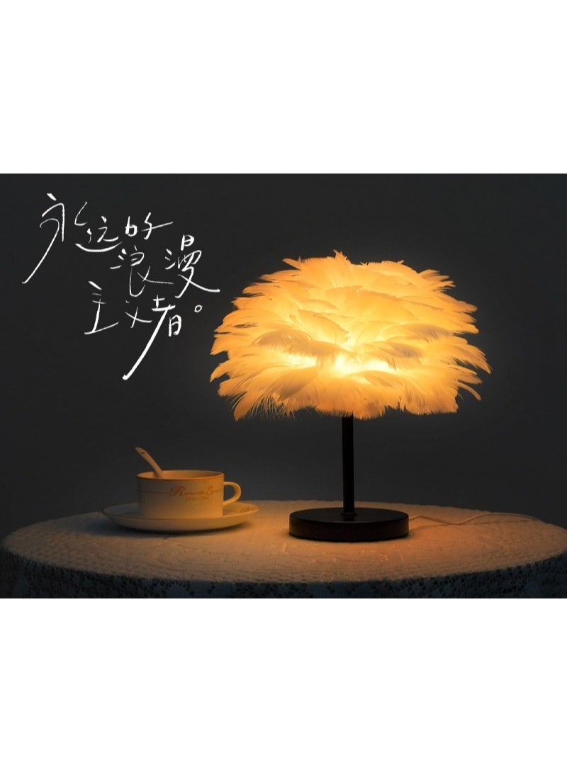 Feather Desk Lamp - New Model - Image 5