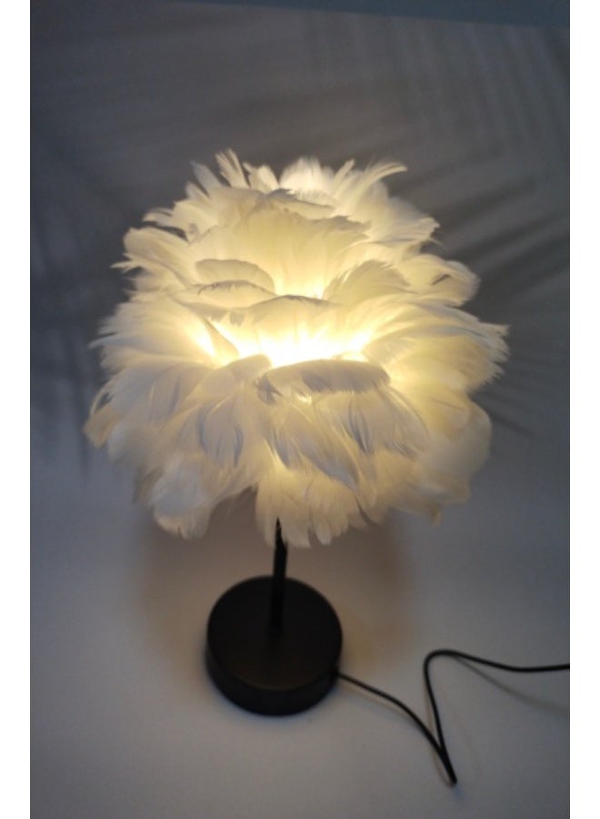 Feather Desk Lamp - New Model - Image 4