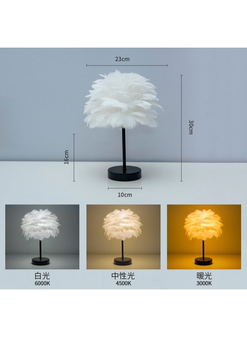 Feather Desk Lamp - New Model - Image 3