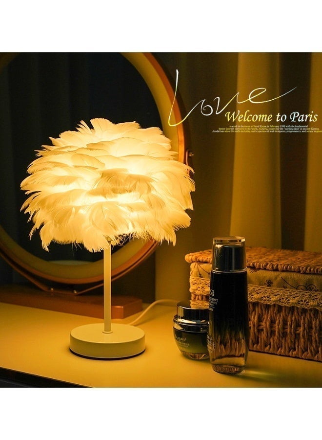 Feather Desk Lamp - New Model - Image 1