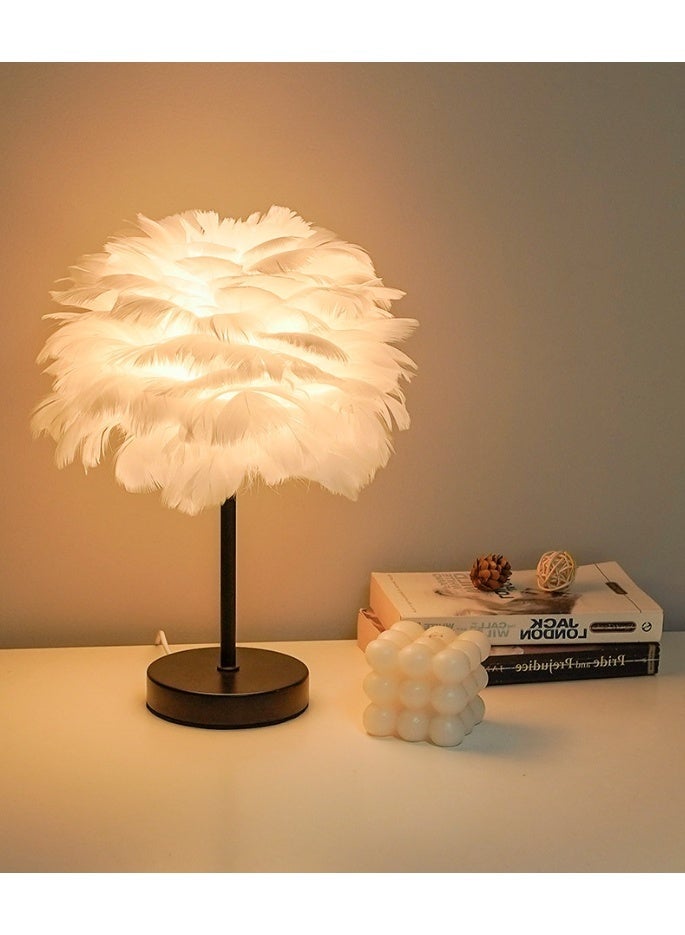 Feather Desk Lamp - New Model - Image 2