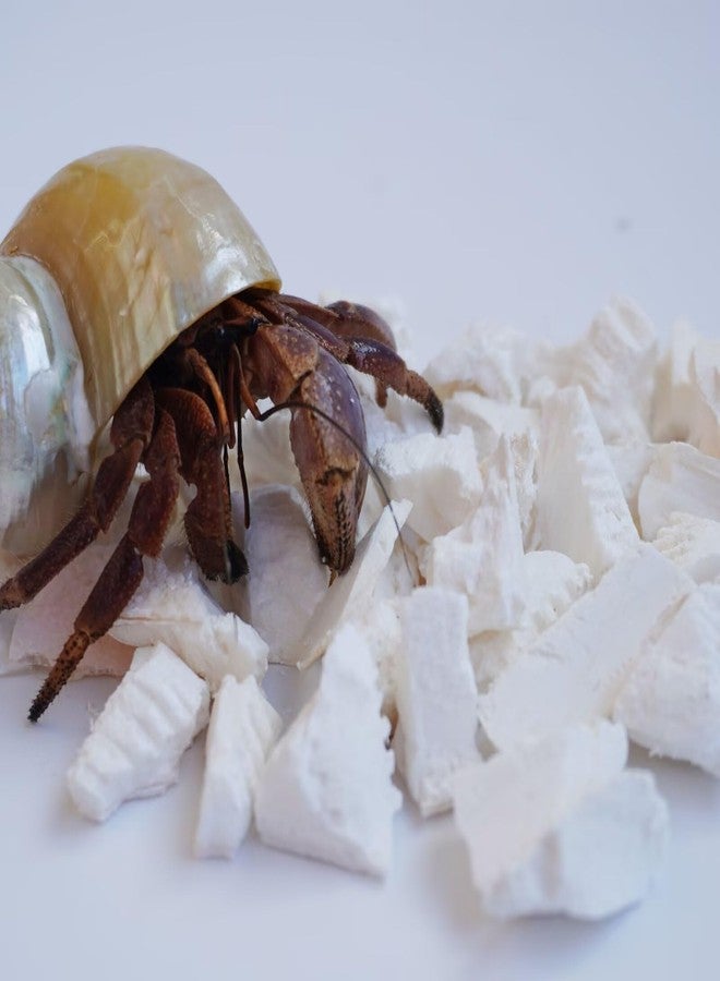 Begeterday Hermit Crab Accessories, 1.6oz Cuttlebone Small Particles for Hermit Crabs - Image 1
