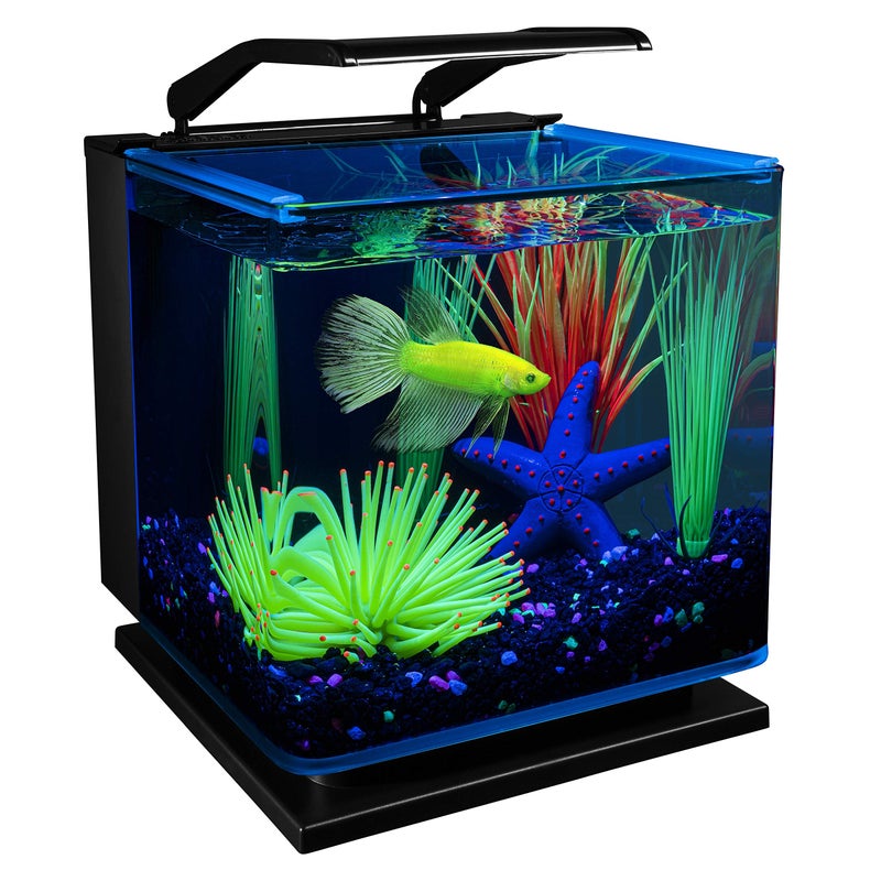 طقم حوض السمك GloFish Betta Shadowbox