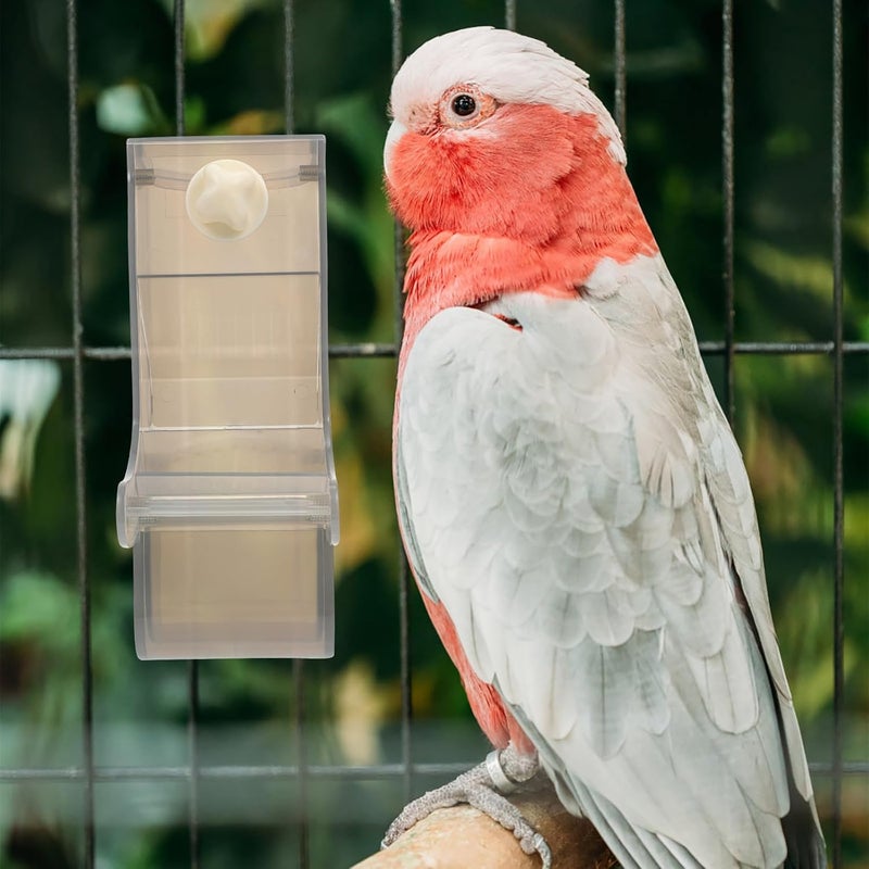 Parrot Bird Feeder Food Feeding Bowl Cage Feeder Small Gray Bird Food Holder for Small Parakeets Cockatiels and Lovebirds in Cage - Image 5