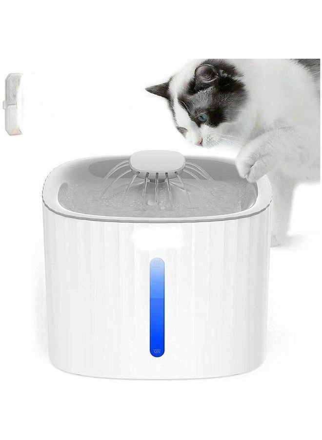 Pet Drinking Water Fountain - Automatic Lighting Led Plastic Water Dispenser | Pet Drinking Fountain Quiet Filter - Image 5