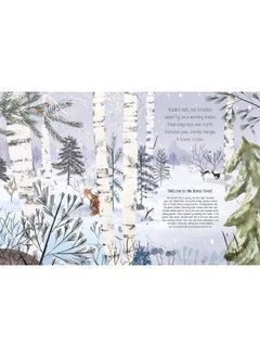 The Boreal Forest: A Year in the World's Largest Land Biome  - Image 3