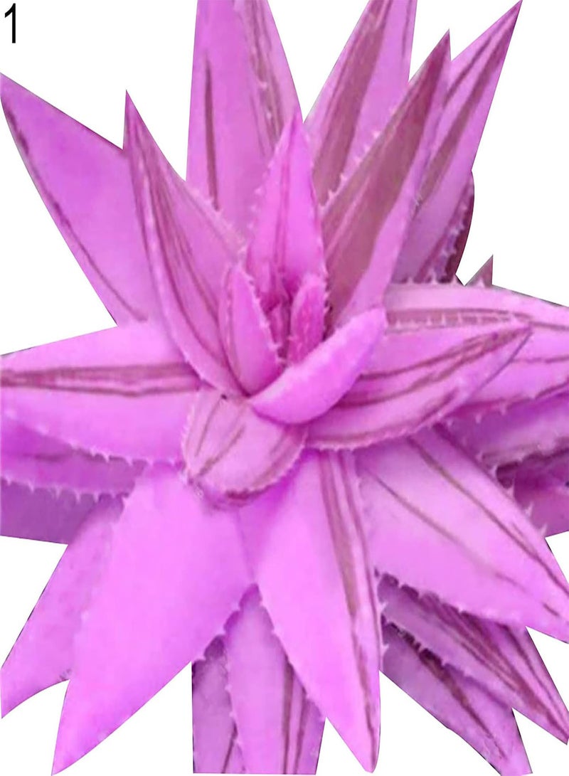 GGOOT Green Garden Flower Plants-100Pcs/Bag Rainbow Aloe Seeds Multi-Color Skin Care Water-Saving Strong Vitality Aloe Seeds for Bonsai - 8 - Image 5