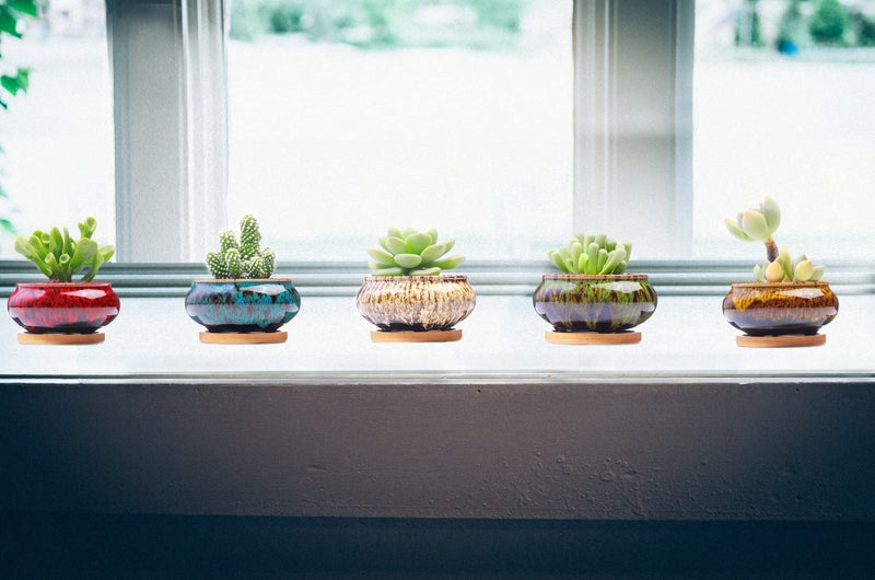 LamDawn Cute Ceramic Succulent Garden Pots, Planter with Drainage and Attached Saucer, Set of 5 -Plants Not Included (Burner) - Image 4