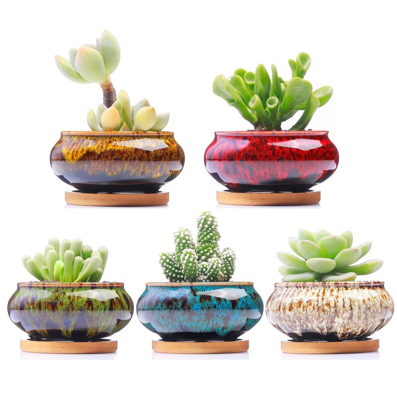 LamDawn Cute Ceramic Succulent Garden Pots, Planter with Drainage and Attached Saucer, Set of 5 -Plants Not Included (Burner) - Image 1