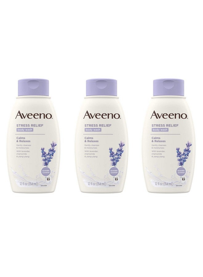 غسول الجسم أفينو لتخفيف التوتر، بزيوت الشوفان واللافندر والبابونج واليلانغ يلانغ العطرية المهدئة، مضاد للحساسية، خالٍ من الصبغات والصابون، ١٢ أونصة سائلة (عبوة من ٣ قطع) - Image 1