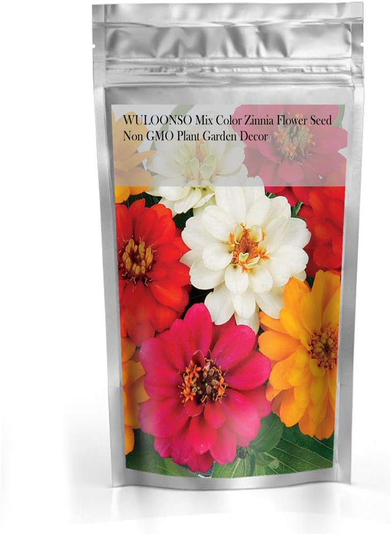 جي جوت بذور زهرة زينيا متعددة الألوان، نباتات غير معدلة وراثيًا، ديكور للحديقة - Image 2