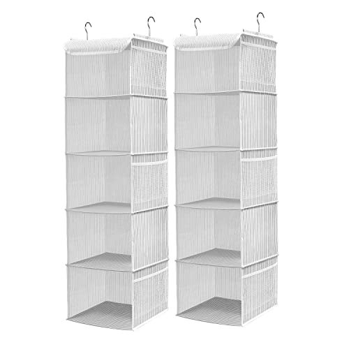 BrilliantJo 5 Shelves Hanging Closet Organizer, 2 Pack Hanging Storage with 6 Side Pockets for Clothes Shoes, 43"x12"x12"(Strip) - Image 1