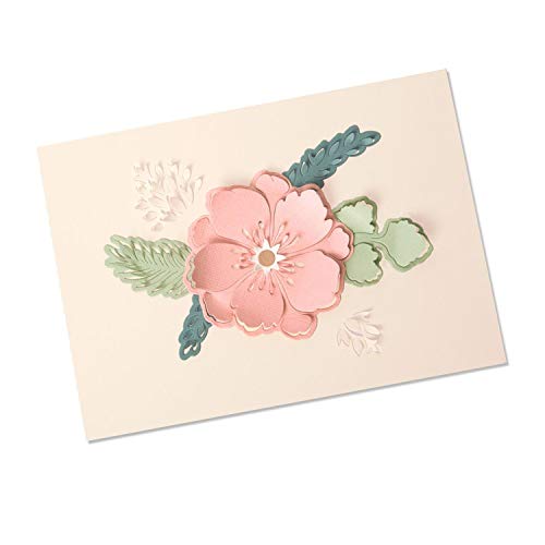 Sizzix Thinlits Die Set 13 Pack Peony Pop-Up, Multicolor - Image 1