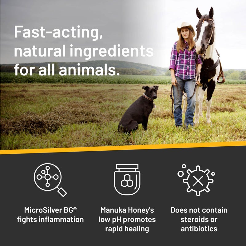 Absorbine Silver Honey Rapid Skin Relief Medicated Shampoo, Medical Grade Manuka Honey & MicroSilver BG, Rejuvenating, Soothing & Hydrating, 16 fl oz - Image 4