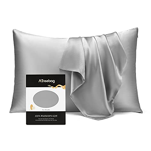 ATreebag Pillowcase 100 Mulberry Silk for Hair and Skin Double Sided 19 Momme Pure Silk Pillow Case with Hidden Zipper and Gift Box Silver Grey 1 PC Toddler 13x18