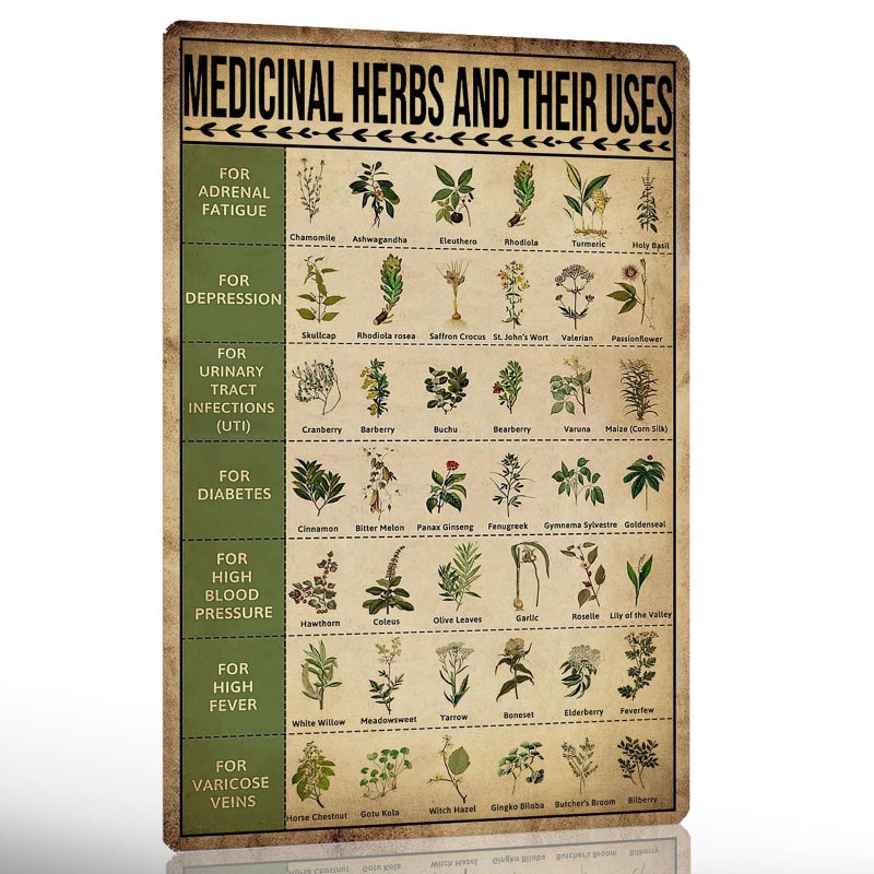 Ykfss Vintage Herb Knowledge Metal Tin Sign Homesteading Knowledge Poster Plant Signs Planting Guide Chart Herb Decor Medicinal Herbs And Their Uses Posters 8x12 Inch - Image 1