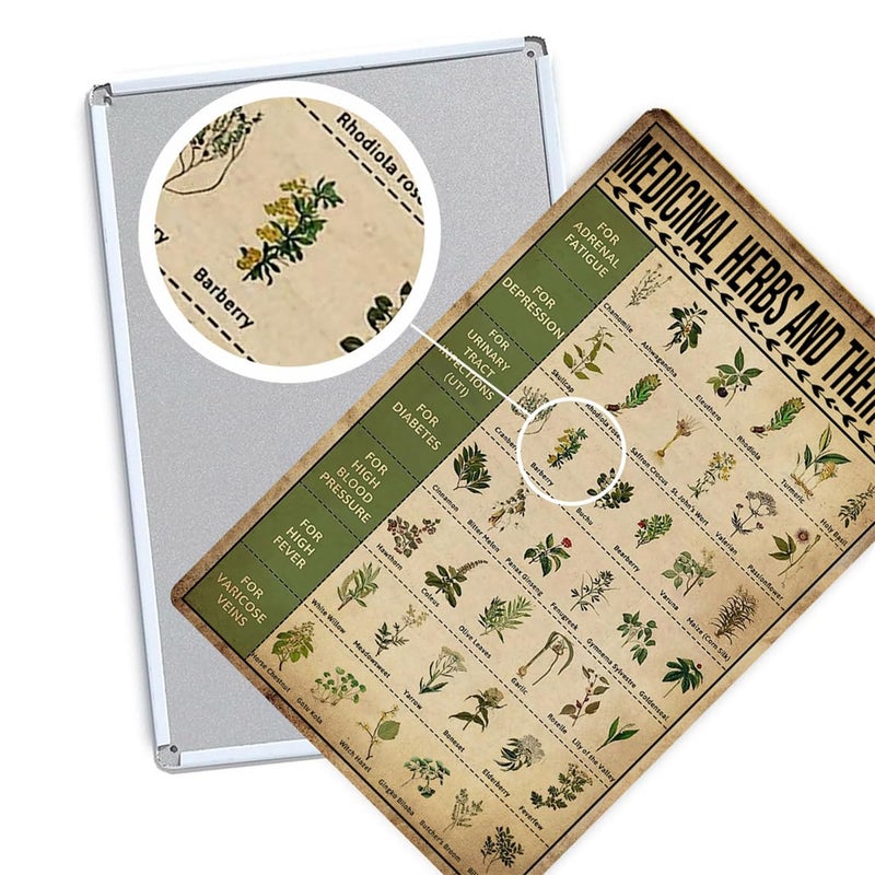 Ykfss Vintage Herb Knowledge Metal Tin Sign Homesteading Knowledge Poster Plant Signs Planting Guide Chart Herb Decor Medicinal Herbs And Their Uses Posters 8x12 Inch - Image 2