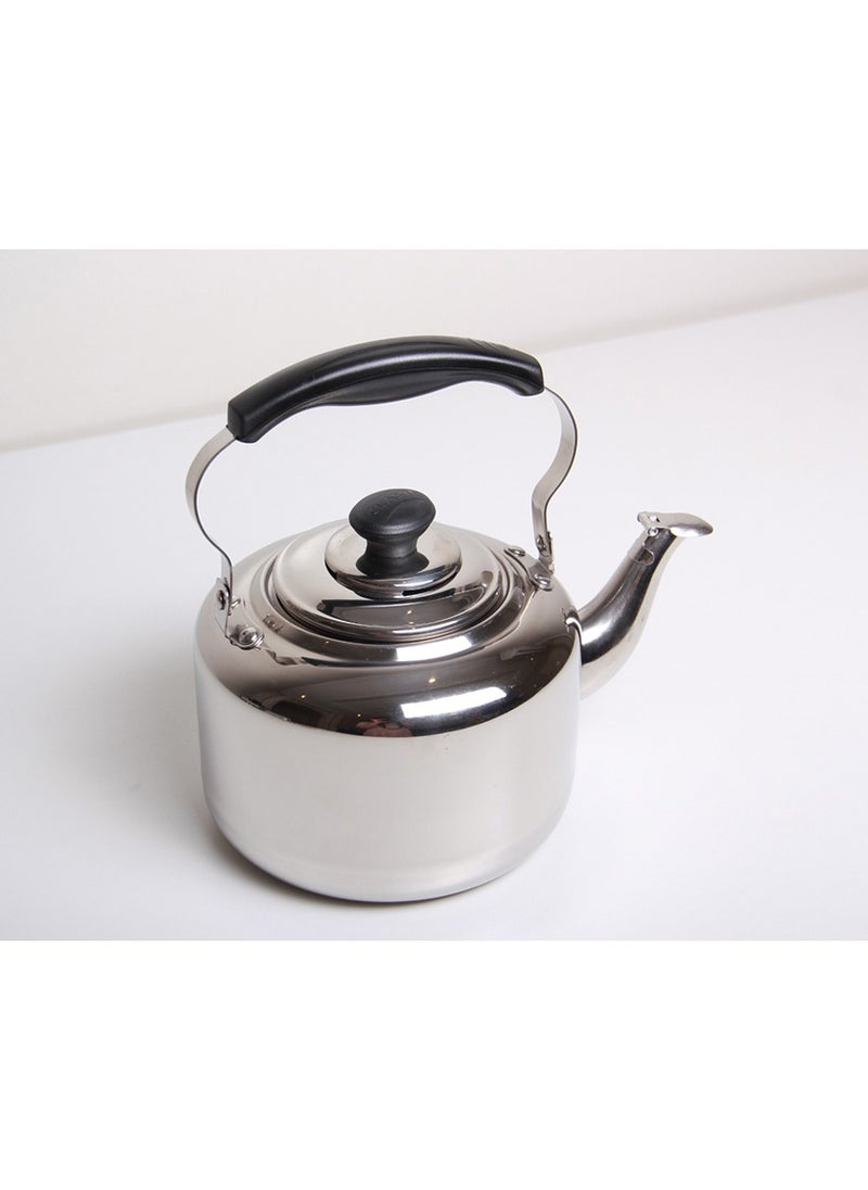 Stylish one-piece stainless steel teapot, silver/black - pzsku/ZFA981DCCD5722E9E5E4FZ/45/_/1710276199/3f98be0a-d910-4575-9a60-ed00ce6a5de9