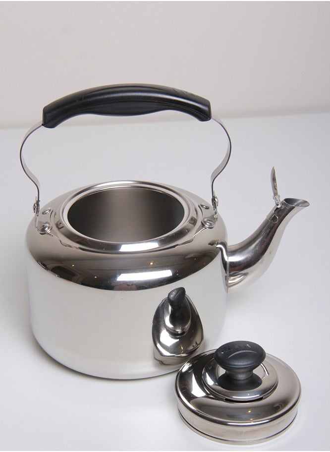 Stylish one-piece stainless steel teapot, silver/black - pzsku/ZFA981DCCD5722E9E5E4FZ/45/_/1710276199/76dedc14-43fb-48b1-9d65-85d36da4f3e0