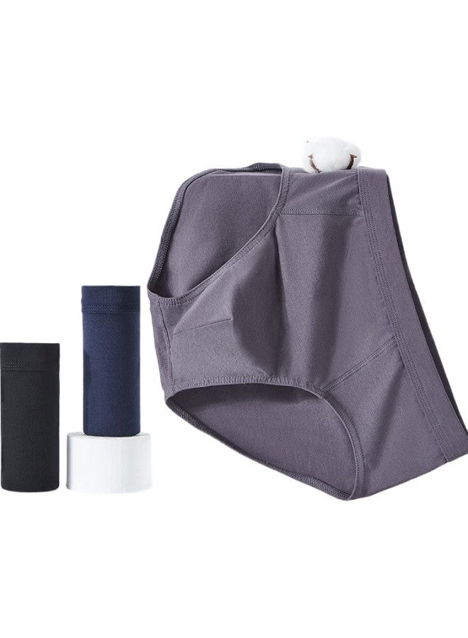 THREEGUN [Jian Series] Men'S Triangle Briefs, Summer Classic Pure Cotton Elastic Shorts, Men'S Underwear - Image 1