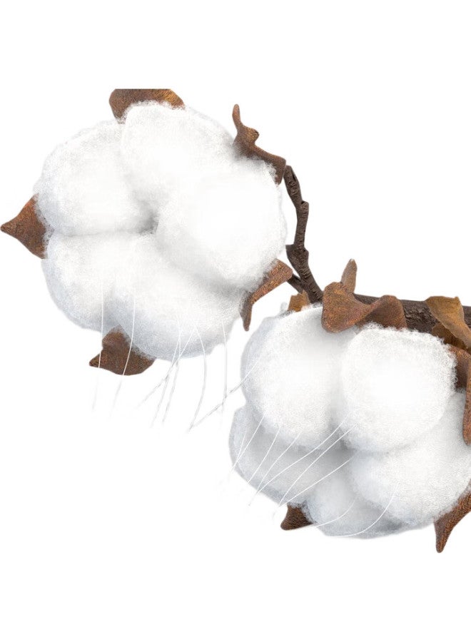 THREEGUN [Jian Series] Men'S Triangle Briefs, Summer Classic Pure Cotton Elastic Shorts, Men'S Underwear - Image 3