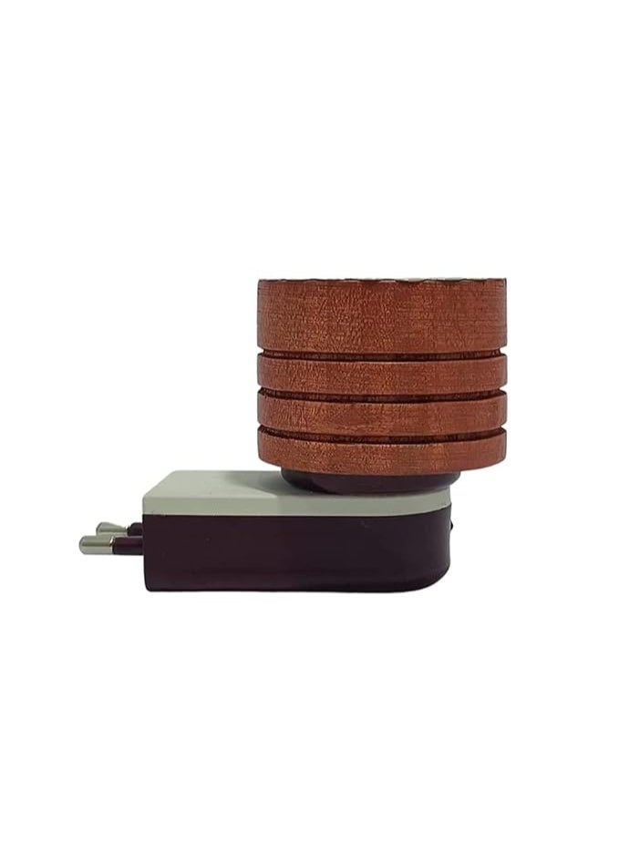 Eabir Kapoor Dani Camphor Diffuser for Home - Electric (Wood), Brown - Image 1