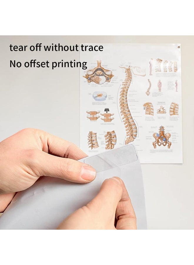 Pack of 60 reusable, washable, non-marking, transparent, removable multi-functional adhesive tapes for carpets, picture frames, and kitchens. - Image 3