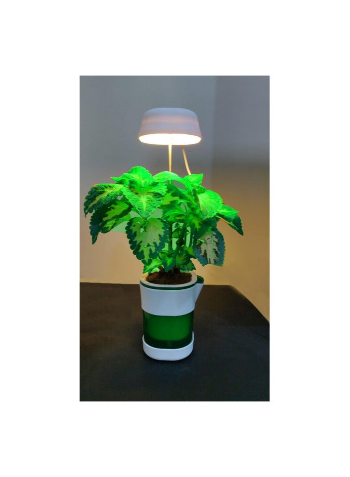 Generic A small indoor planter with special fixed LED lighting that replaces sunlight and helps plants grow.  - Image 1