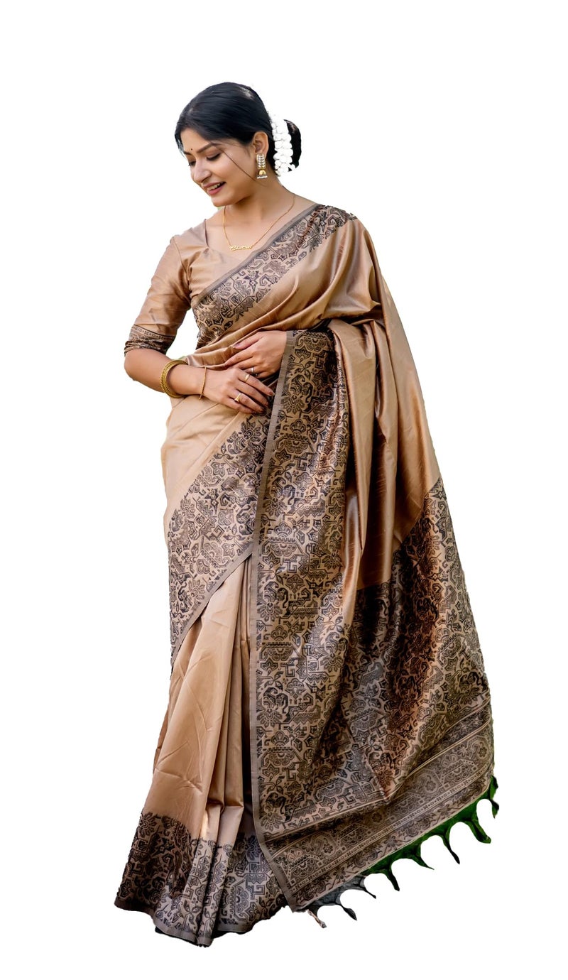 NK Textiles Women's Plain/Solid With Kalamkari Woven Border Raw Silk Saree With Tassels (13 Colors), Chikoo - Image 5