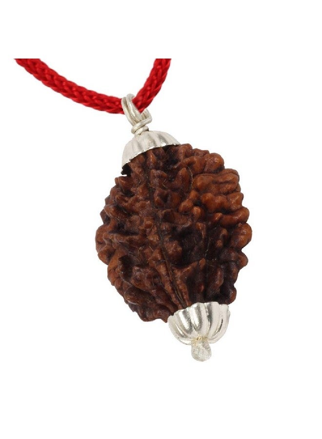 ASTRODIDI 2 Mukhi Rudraksha Original Certified Two Face Silver Coated Pendant | Astrological Benefits and Positive Energy | Unisex Design for Men & Women - Image 2