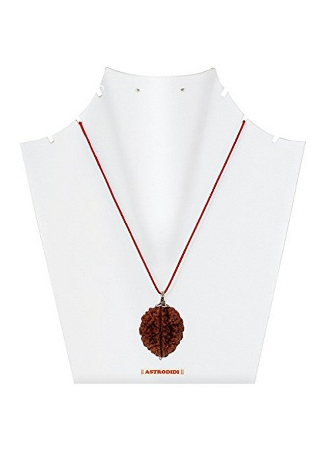 ASTRODIDI 2 Mukhi Rudraksha Original Certified Two Face Silver Coated Pendant | Astrological Benefits and Positive Energy | Unisex Design for Men & Women - Image 5