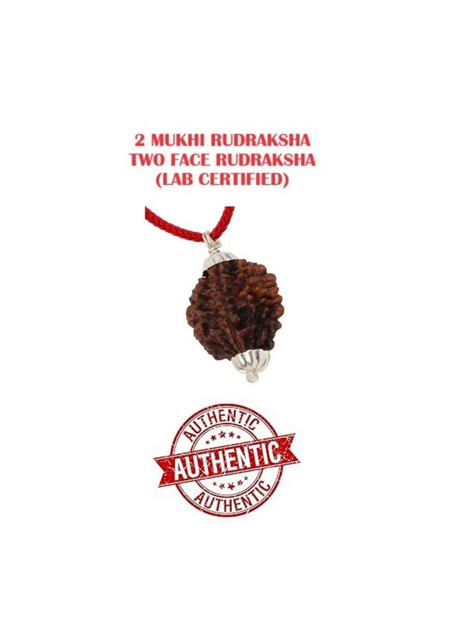ASTRODIDI 2 Mukhi Rudraksha Original Certified Two Face Silver Coated Pendant | Astrological Benefits and Positive Energy | Unisex Design for Men & Women - Image 4