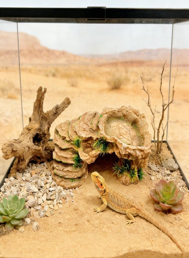 M2cbridge Reptile Hide Resting Step Ledge Cave Hideout Turtle Basking Platform - Great for Reptiles, Amphibians, and Fish (Sandy Brown) - Image 5