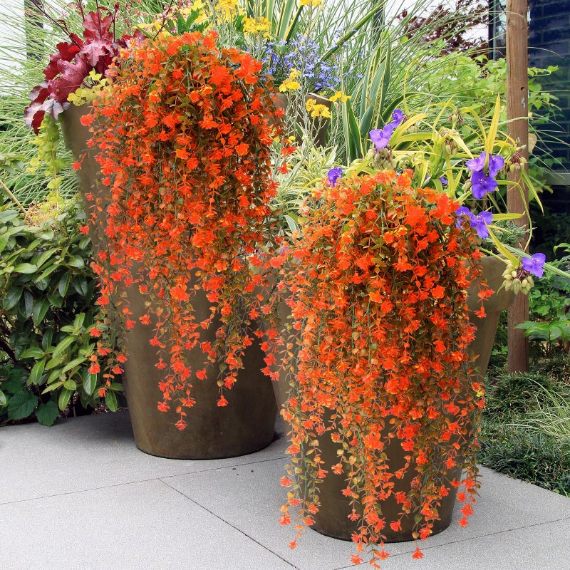 FineCheer 6 Pcs Spring Artificial Hanging Flowers Outdoor Faux Silk Mum Plant Decor Violet with Eucalyptus Realistic UV Resistant Trailing Vine Spring Porch Yard(Classic Color,Violet) - Image 3