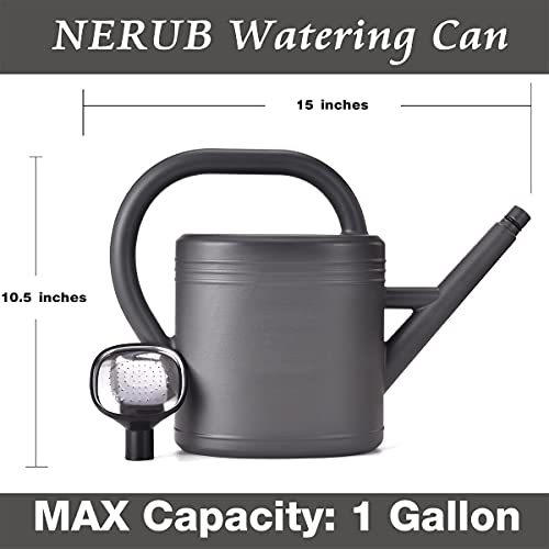NERUB Watering Can 1 Gallon for Garden, Indoor Plants, Outdoor Plant House Flower, Large Long Spout with Sprinkler Head (Grey) - Image 2