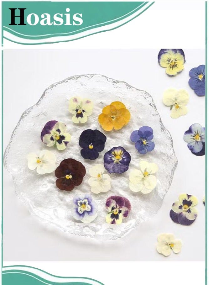Hoasis 72 Pcs Dried Pressed Flowers for Resin DIY,  Art Crafts, Natural Dry Floral Epoxy Jewelry Real Flower Decor, For Cakes, Phone Cases, Candles, Handmade Soap, Purple Pansy - Image 1