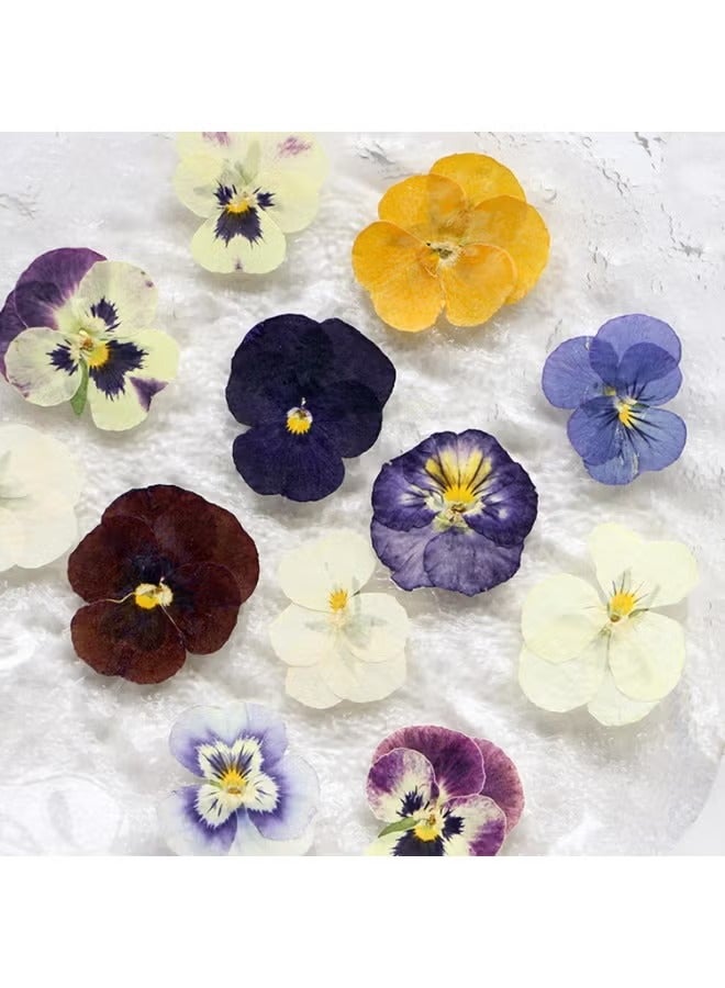 Hoasis 72 Pcs Dried Pressed Flowers for Resin DIY,  Art Crafts, Natural Dry Floral Epoxy Jewelry Real Flower Decor, For Cakes, Phone Cases, Candles, Handmade Soap, Purple Pansy - Image 3