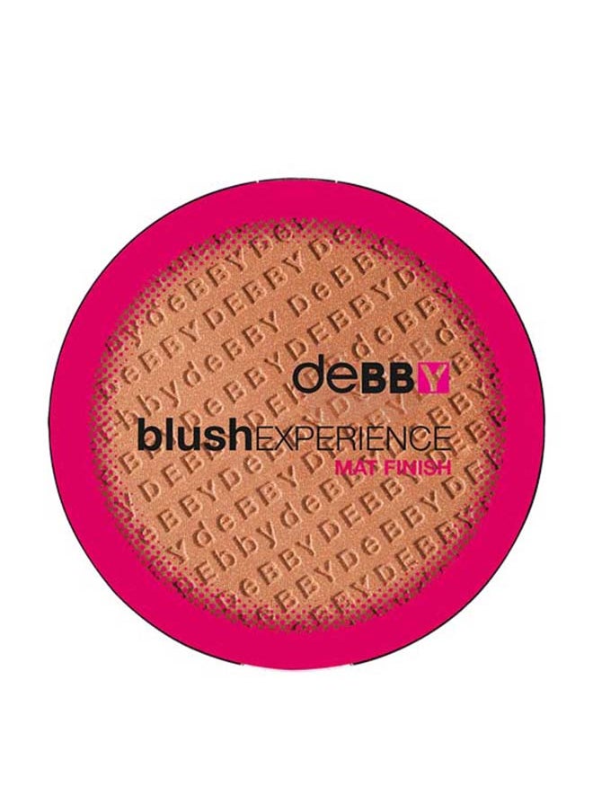 Debby BlushExperience Mat Finish 06 