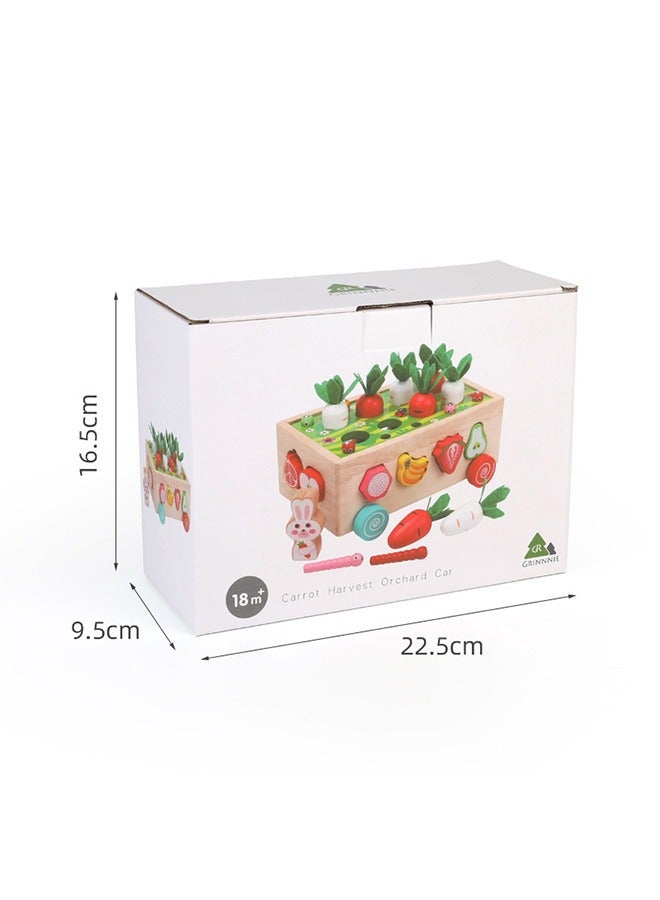 Montessori Toys for 2,3,4 Year Old Baby Boys and Girls, Carrots Harvest Game, Wooden Shape Sorting Toys Gifts for Toddlers, Kids Age 1-3, Wood Preschool Learning Fine Motor Skills Game - Image 5